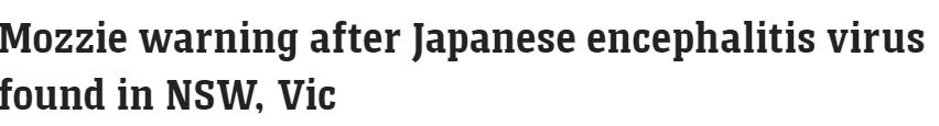 澳洲病毒最新消息今天,日本脑炎病毒是谁发现的