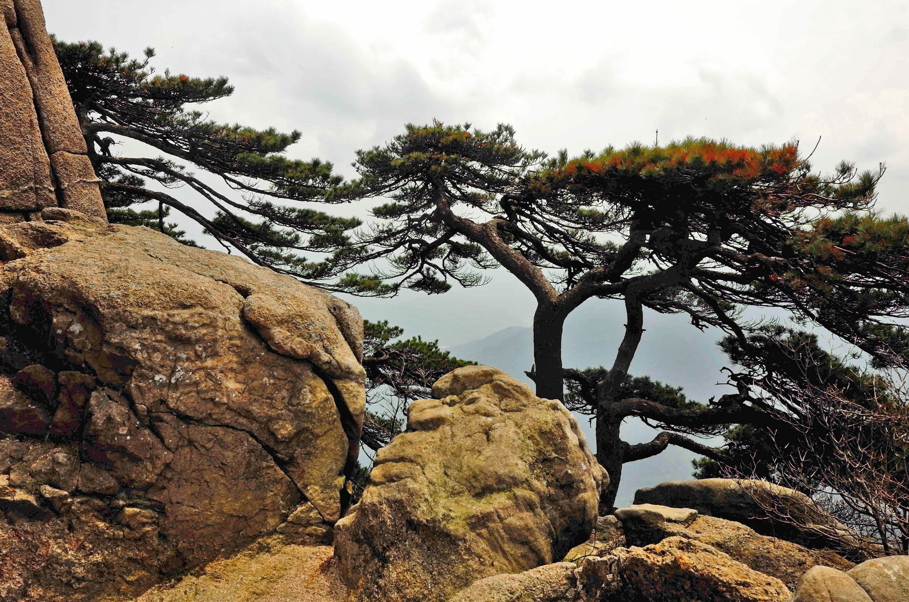黄山天都峰会走鲫鱼背吗,黄山天都峰鲫鱼背第一视角