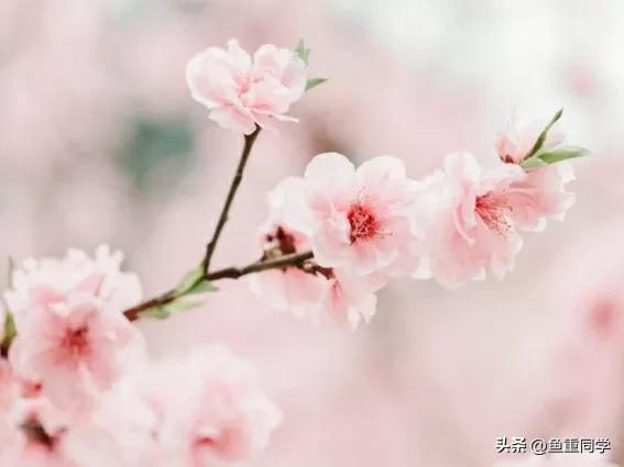 双春年不宜结婚,民间说法双春年不宜结婚