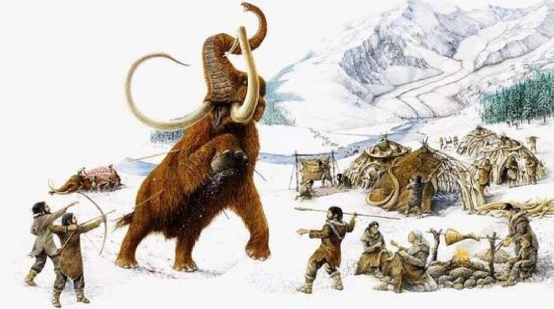 为何古人不敢动“非洲象”，却选择捕杀体型更大的“猛犸象”？
