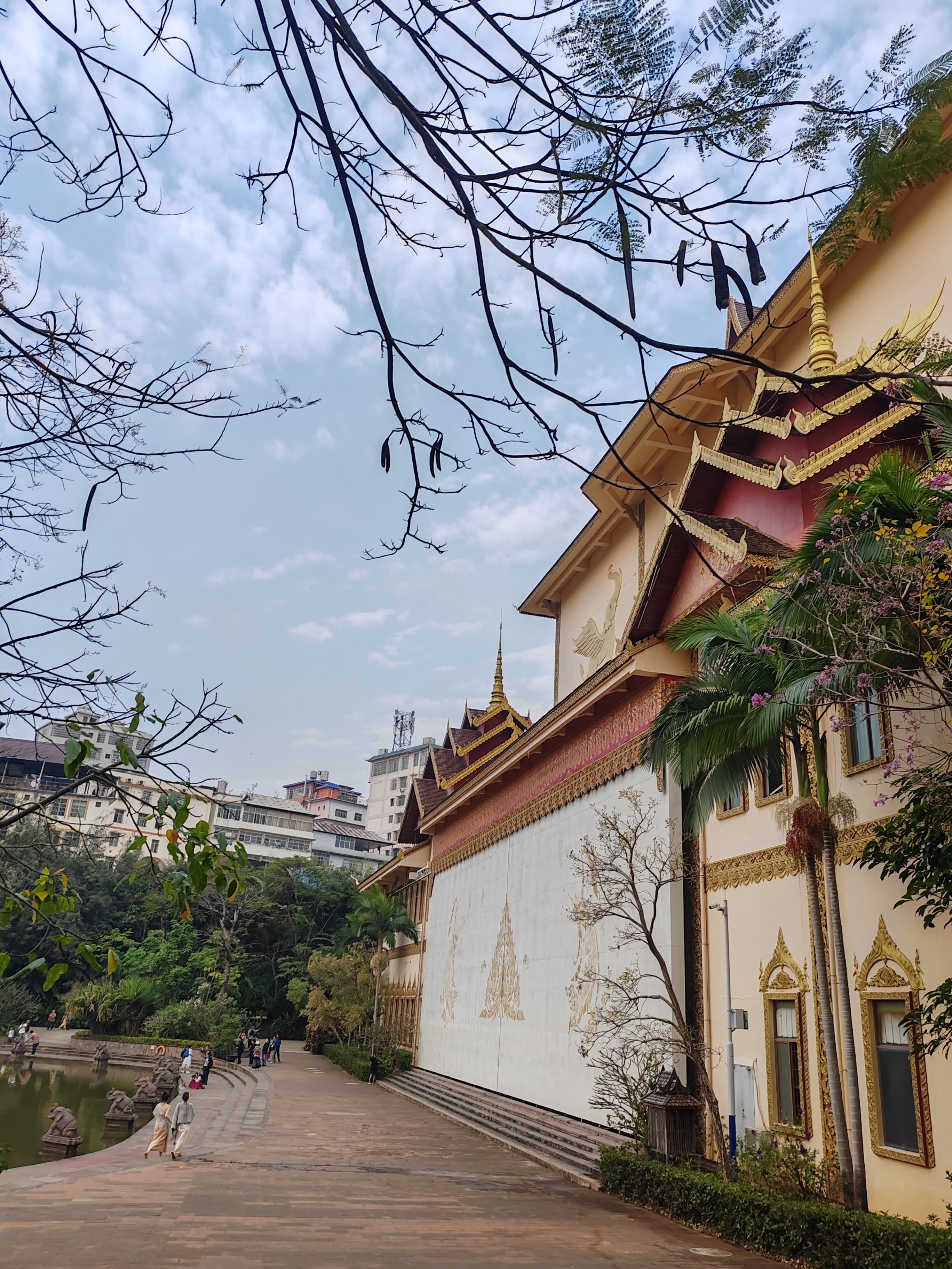 西双版纳曼听园攻略,云南西双版纳打卡曼听公园