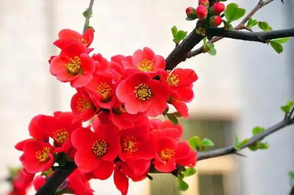 怎么调整倒霉运的心态,怎样才能摆脱目前的倒霉运