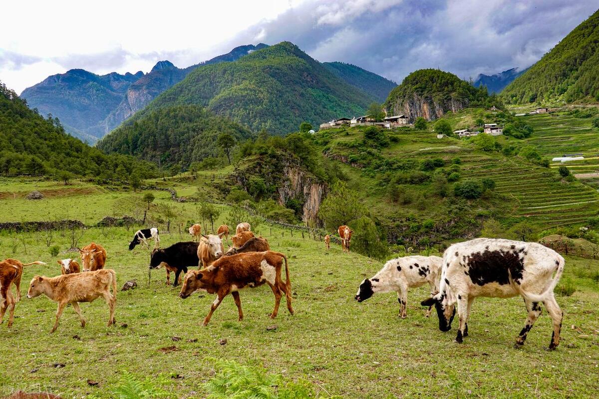香格里拉最值得去的景点排名,香格里拉旅游必去的十大景点