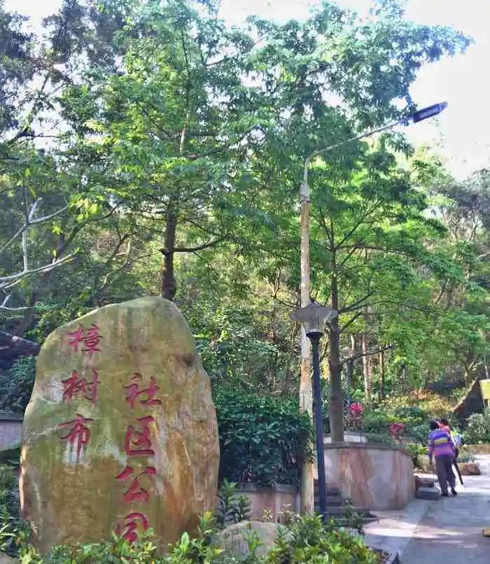 坂田十大学区房,深圳龙岗坂田新盘