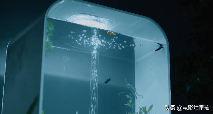 芒果台综艺一出好戏,芒果台开播收视率