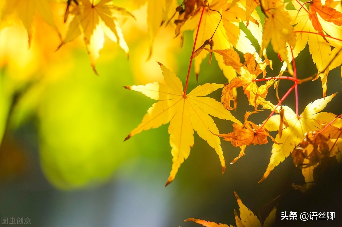 随笔美好的一瞬间,随笔时光匆匆岁月无痕
