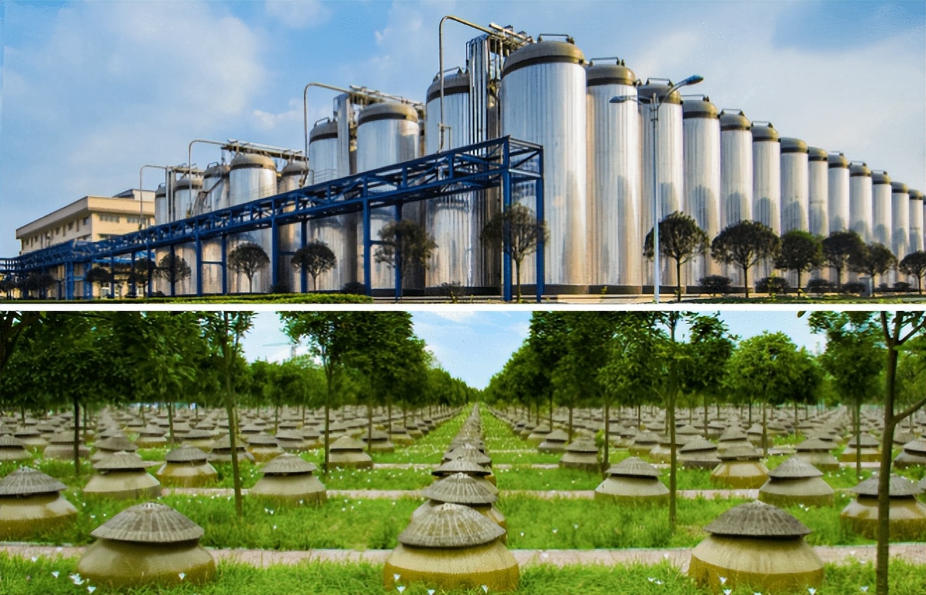 千禾味业2024年一季度业绩,千禾味业2023二季度业绩如何