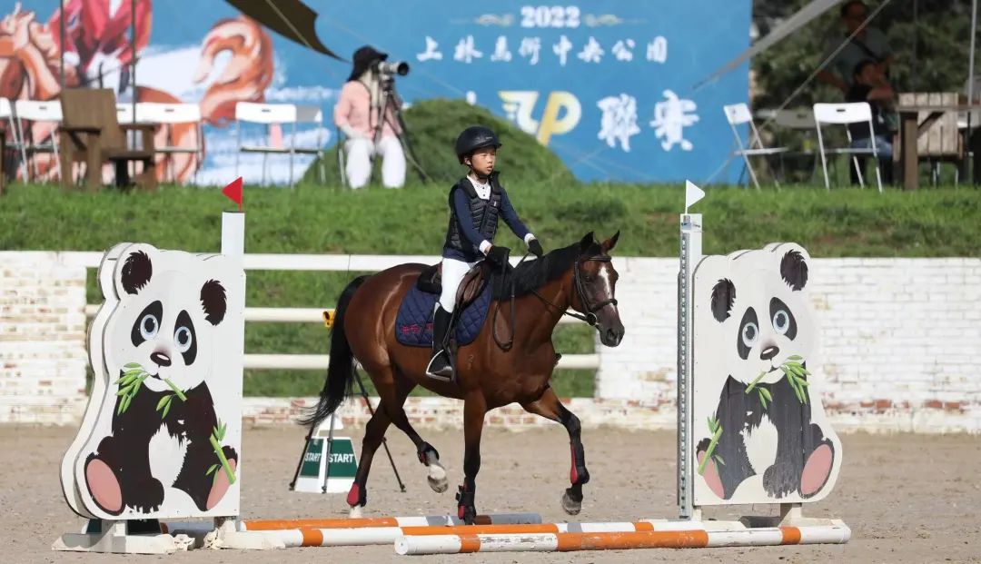 快乐小马马术俱乐部,北京朝阳公园马术俱乐部快乐小马