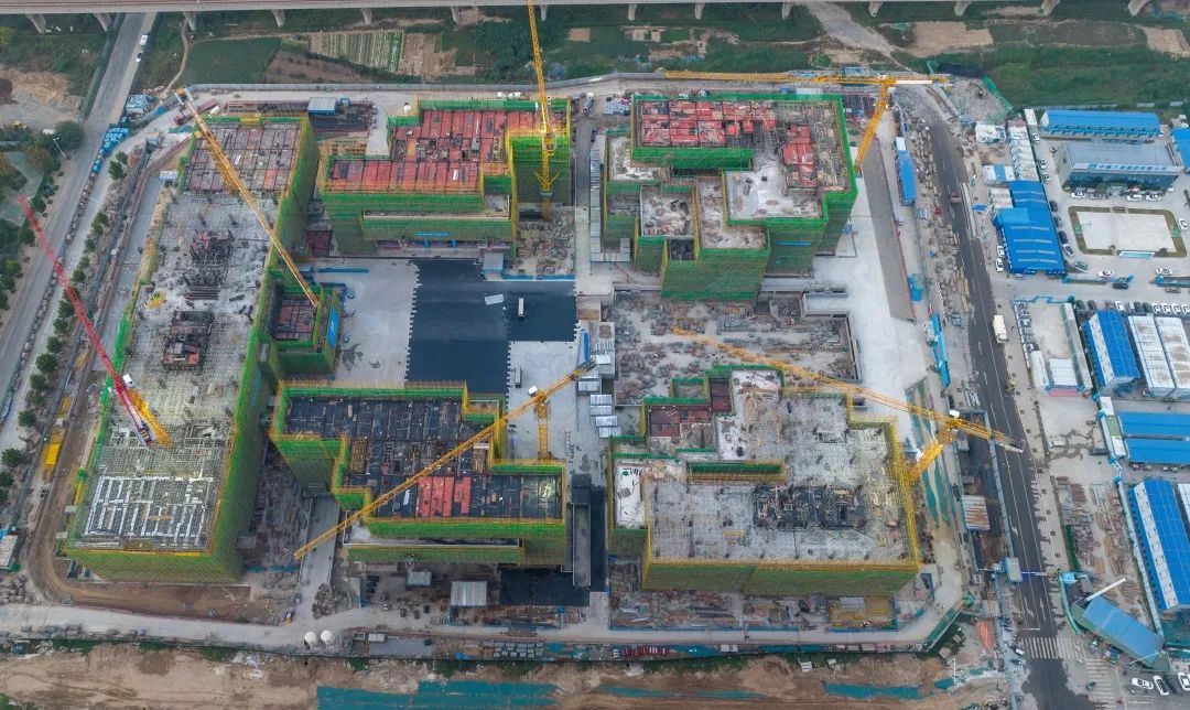 绿博真实现状,5年后绿博