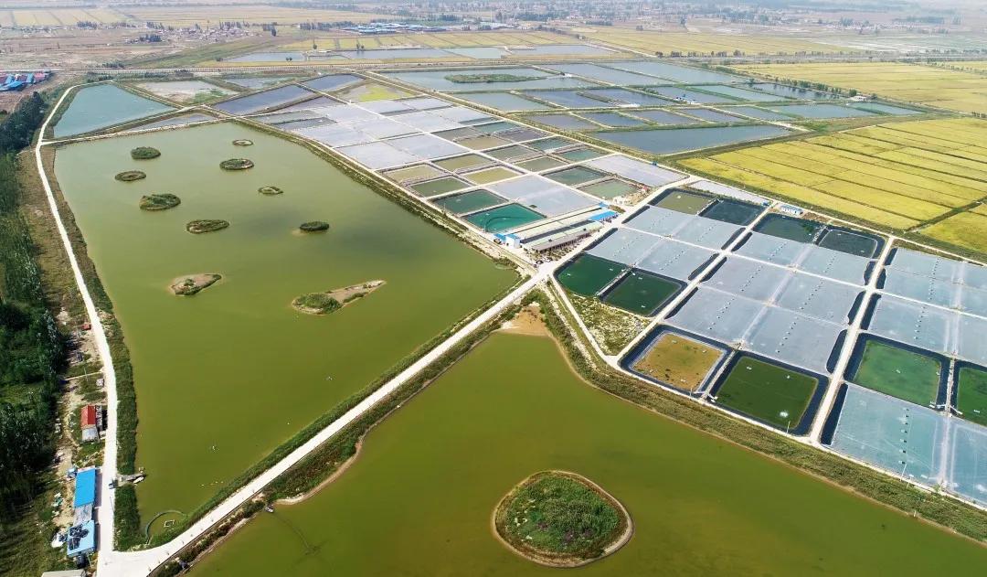 黄河文化黄河之水天上来,黄河水流到千里之外的塞上江南