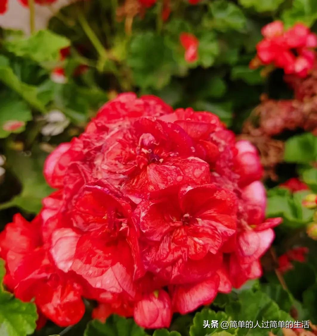 极简生活每月花150块钱,极简生活第4天费用