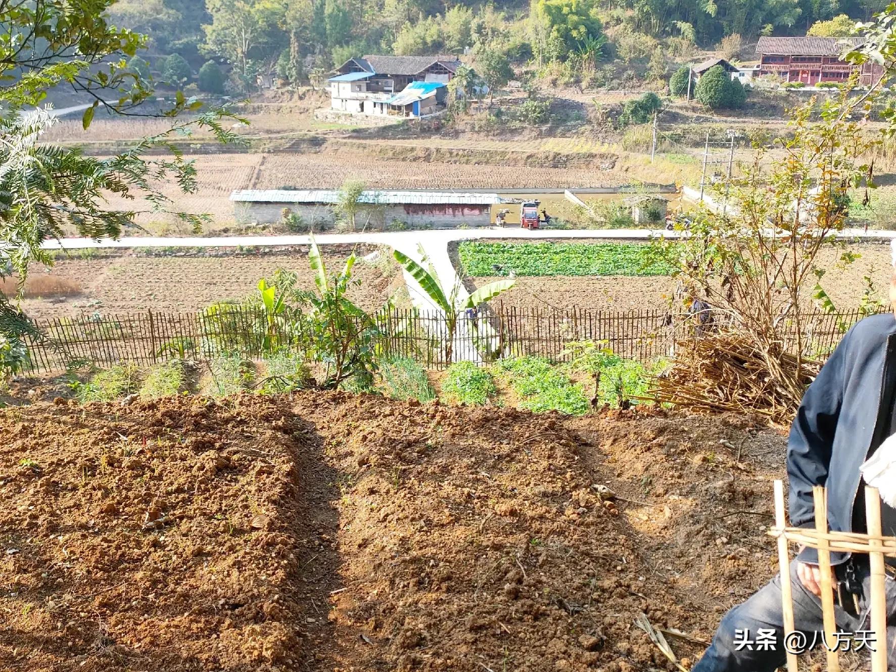 拿什么拯救消费,拿什么拯救你我的中年危机