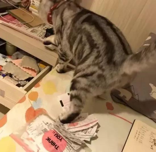 买了张彩票用尽所有的运气,买张彩票中奖了但彩票有破损