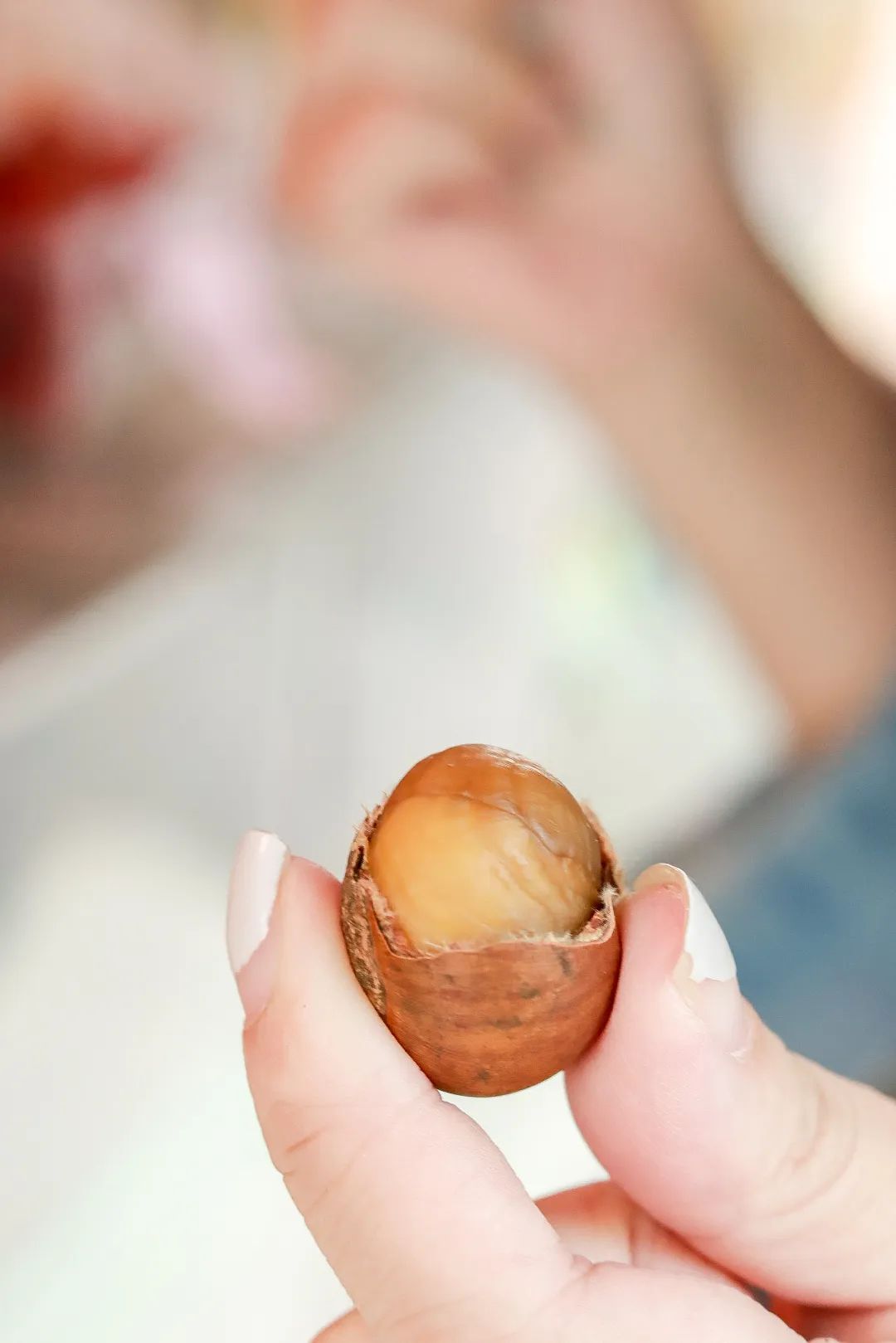 来了，2022太仓栗子不完整种草指南