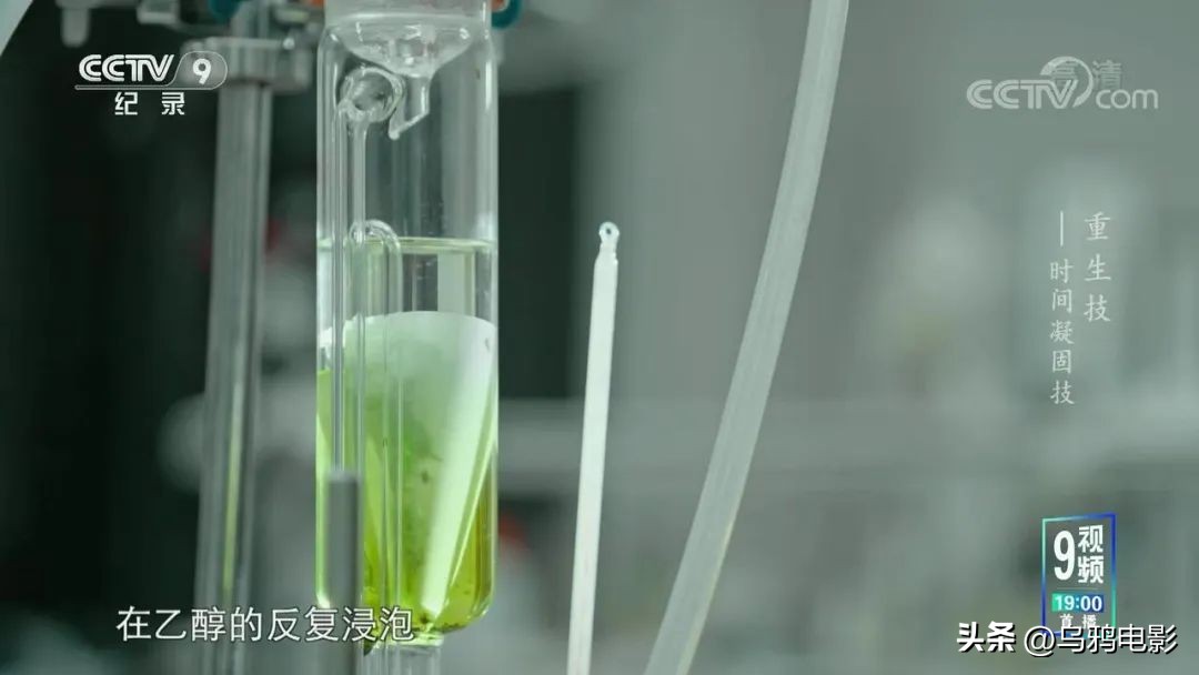 一口气八集!拿命换来的燃,果然是央视良心