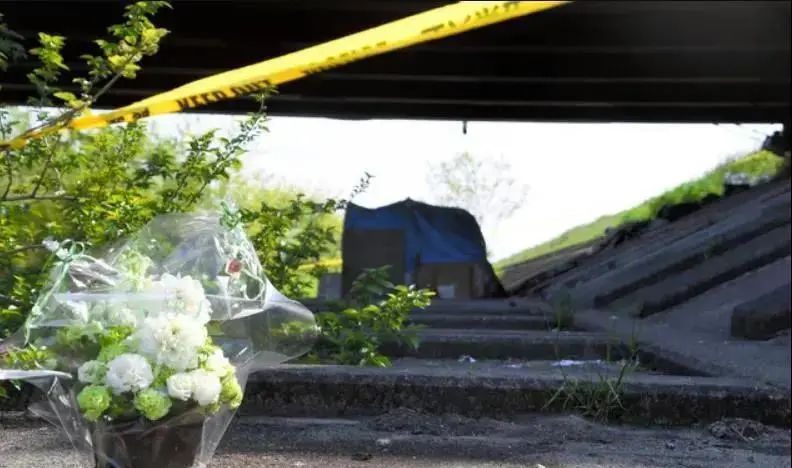 某地办比赛鼓励儿童猎杀野猫？！主办方：杀猫最多的奖励1000元！