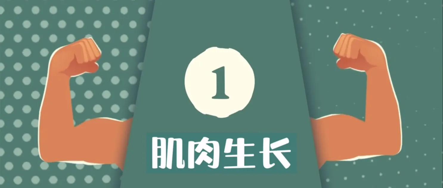 蛋白粉的作用,蛋粉的营养价值