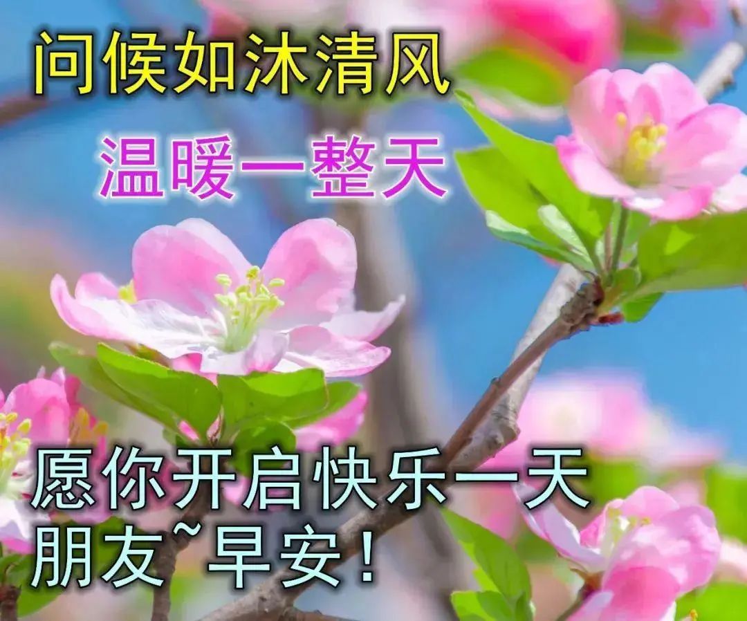 精美早上好动态表情包图片大全,最新早上好表情包动态图片大全