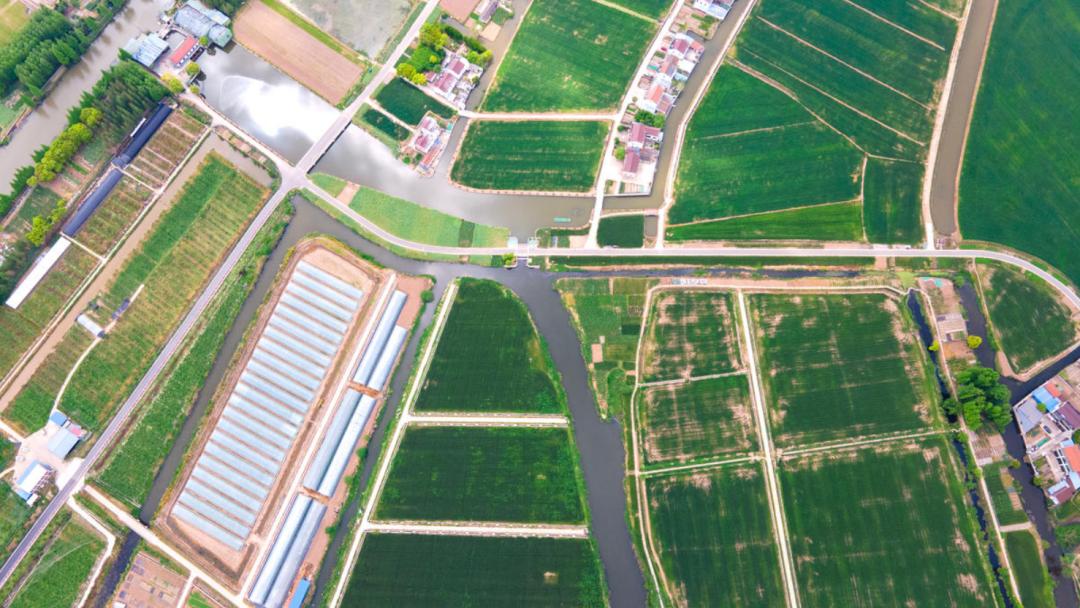 种植和养殖的最好项目,无土栽培项目大全