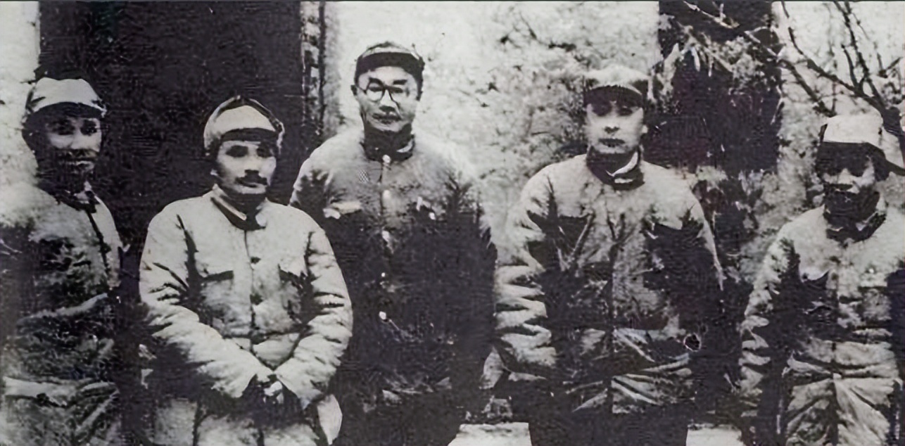 东野西野华野中野华北介绍,东野西野中野华野