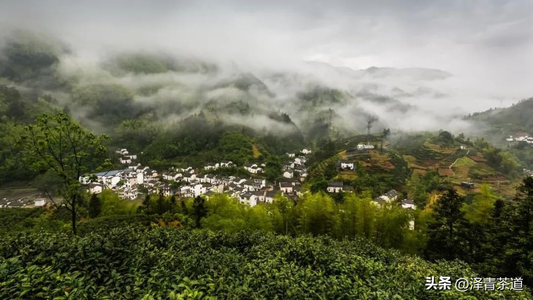 中国茶叶第一产茶大省,陕西中国茶叶第一大省