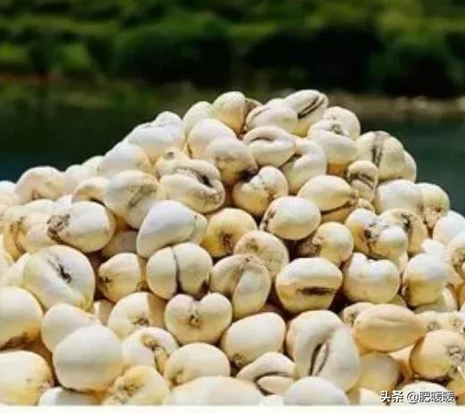 连环套路骗术,连环套路视频