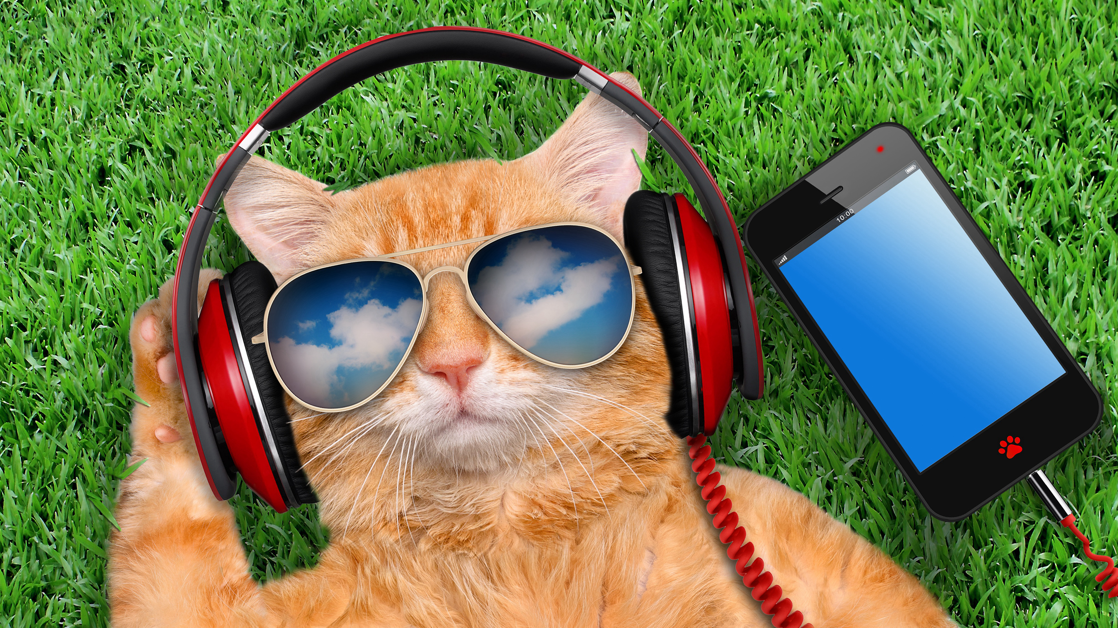 谷星165hz显示器评测,谷星显示器gx278u