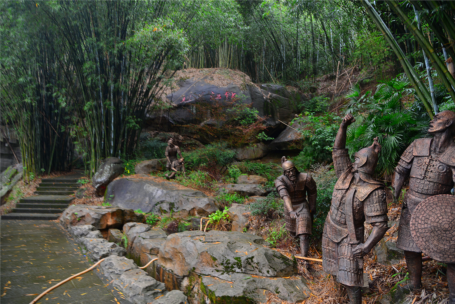 【重庆影像376】·铁山坪森林公园（202302）