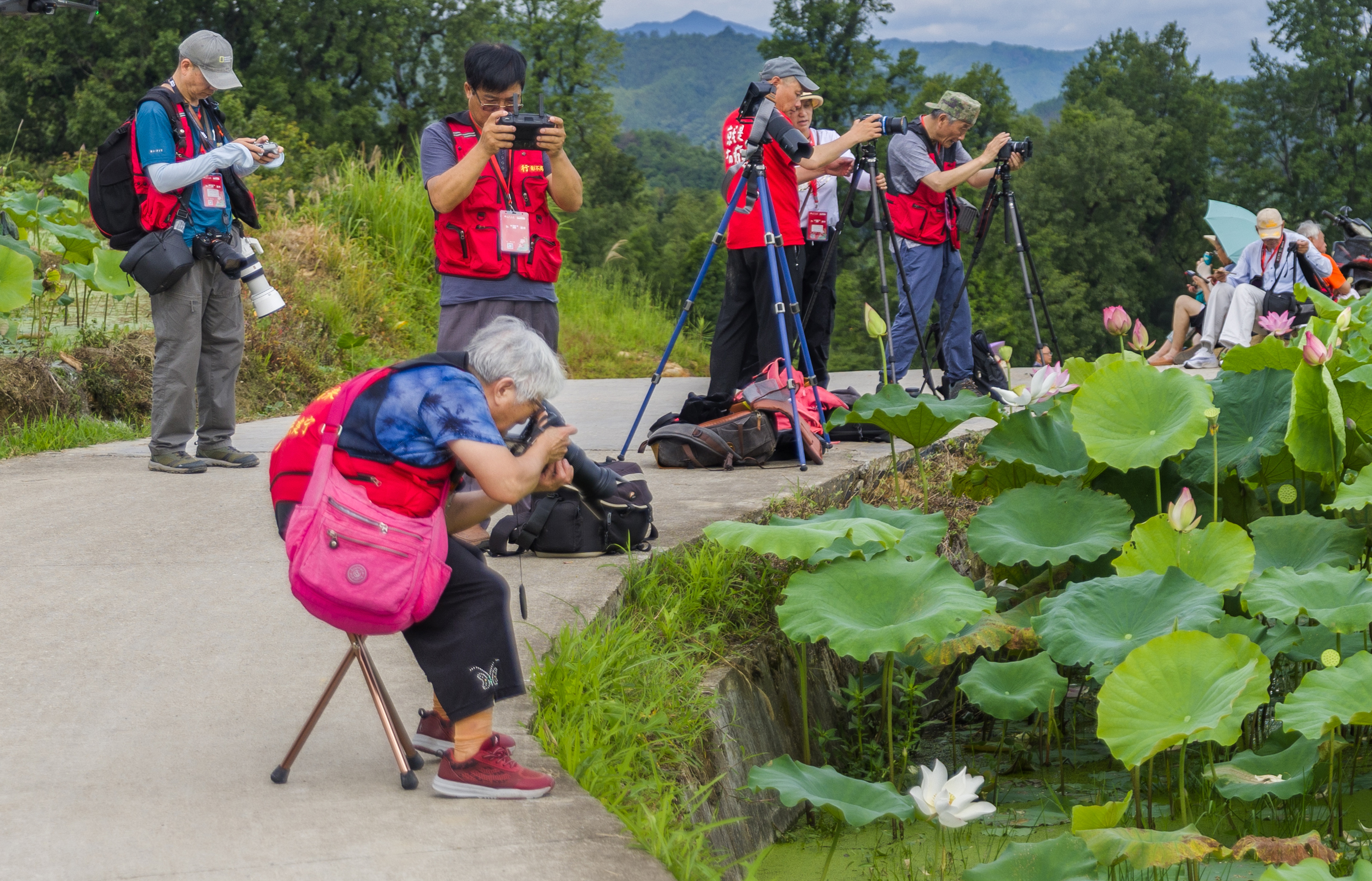 “同话沪明情、四季游三明”来自上海一位老摄影家的感人瞬间