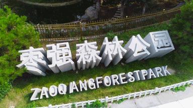 枣强森林公园和千亩森林公园,衡水枣强县天然氧吧