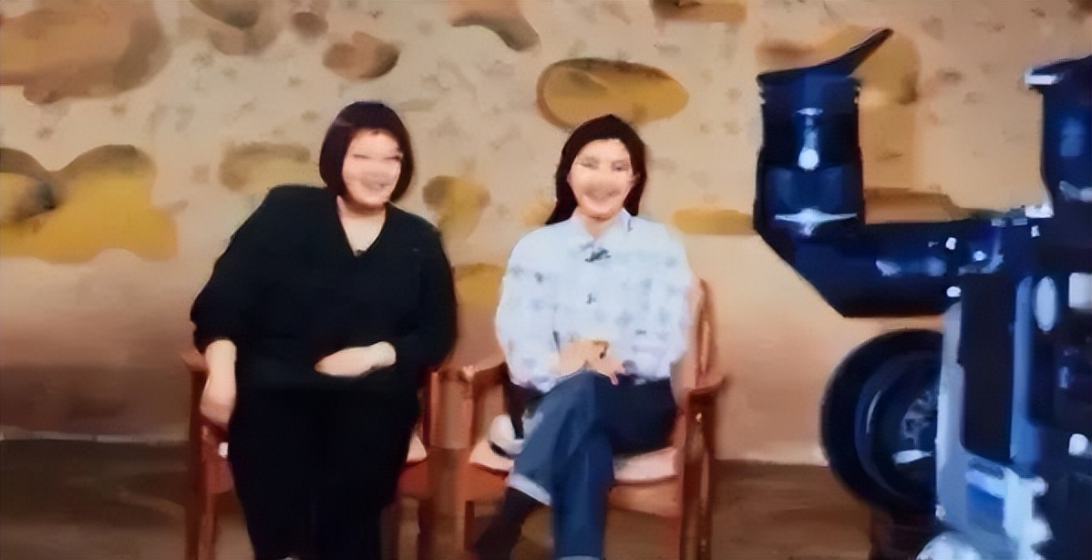 因家暴杀夫的纪录片,女子家暴杀夫纪录片