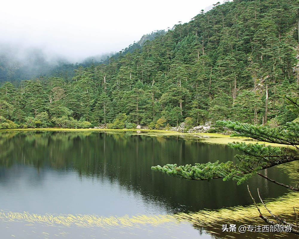 成都泸沽湖邛海旅游攻略,四川泸沽湖万亩草海秋景