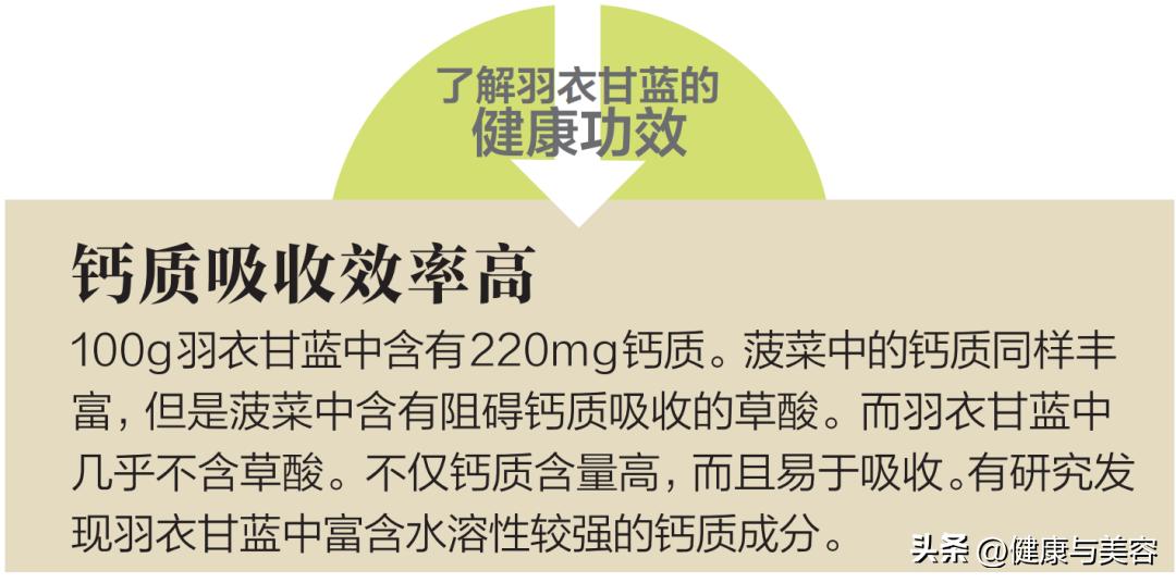 介绍一下羽衣甘蓝这种蔬菜,怎么介绍羽衣甘蓝营养价值