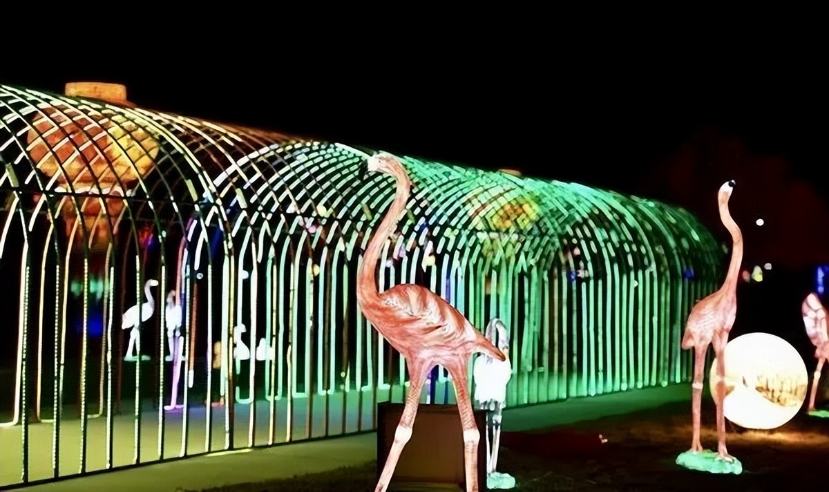 东营市春节大型灯会,东营周边元宵节灯会在什么地方