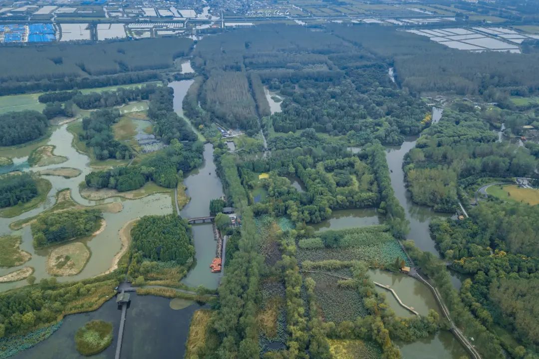 扬州值得推荐的早茶,广东早茶和扬州早茶真的没法比