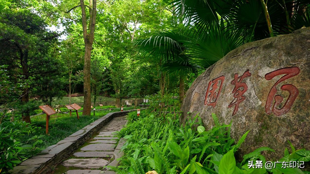 广东罗浮山风景名胜区攻略一日游,罗浮山人间仙境避暑胜地