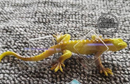 有色光学玻璃加工工艺,光学玻璃加工发展现状