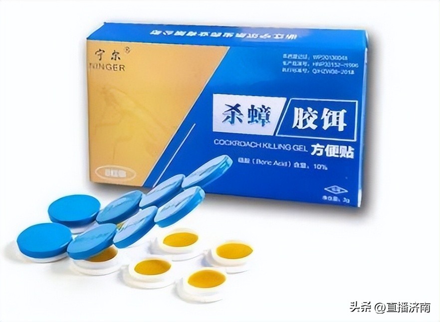 蟑螂最怕三种东西蟑螂会飞吗,蟑螂怕什么怎样驱赶蟑螂最有效