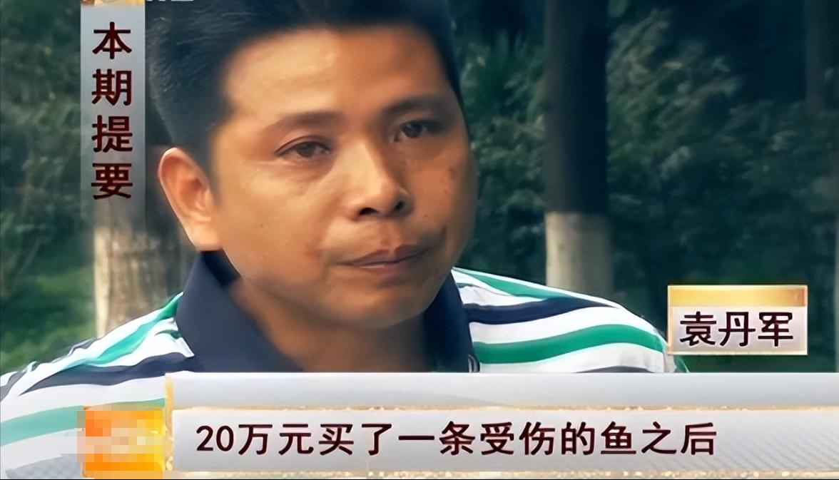 男子花20万买一条鲶鱼3年狂赚上亿,湖北小伙花20万买个鲶鱼