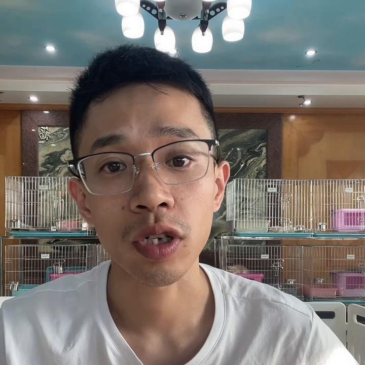 在大陆可以买猫过去香港吗,香港买东西需要注意什么