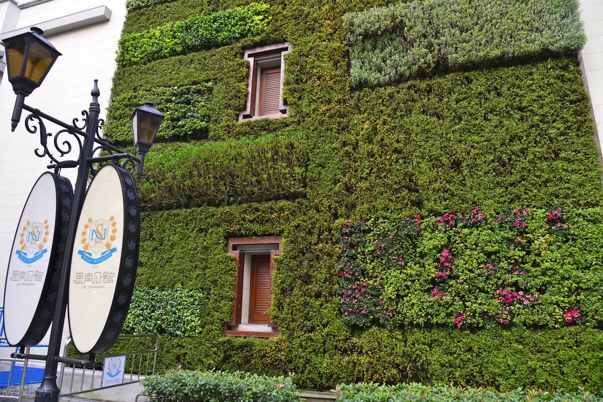 沪语电视剧1-40集完整版合集,海派系列方言大全