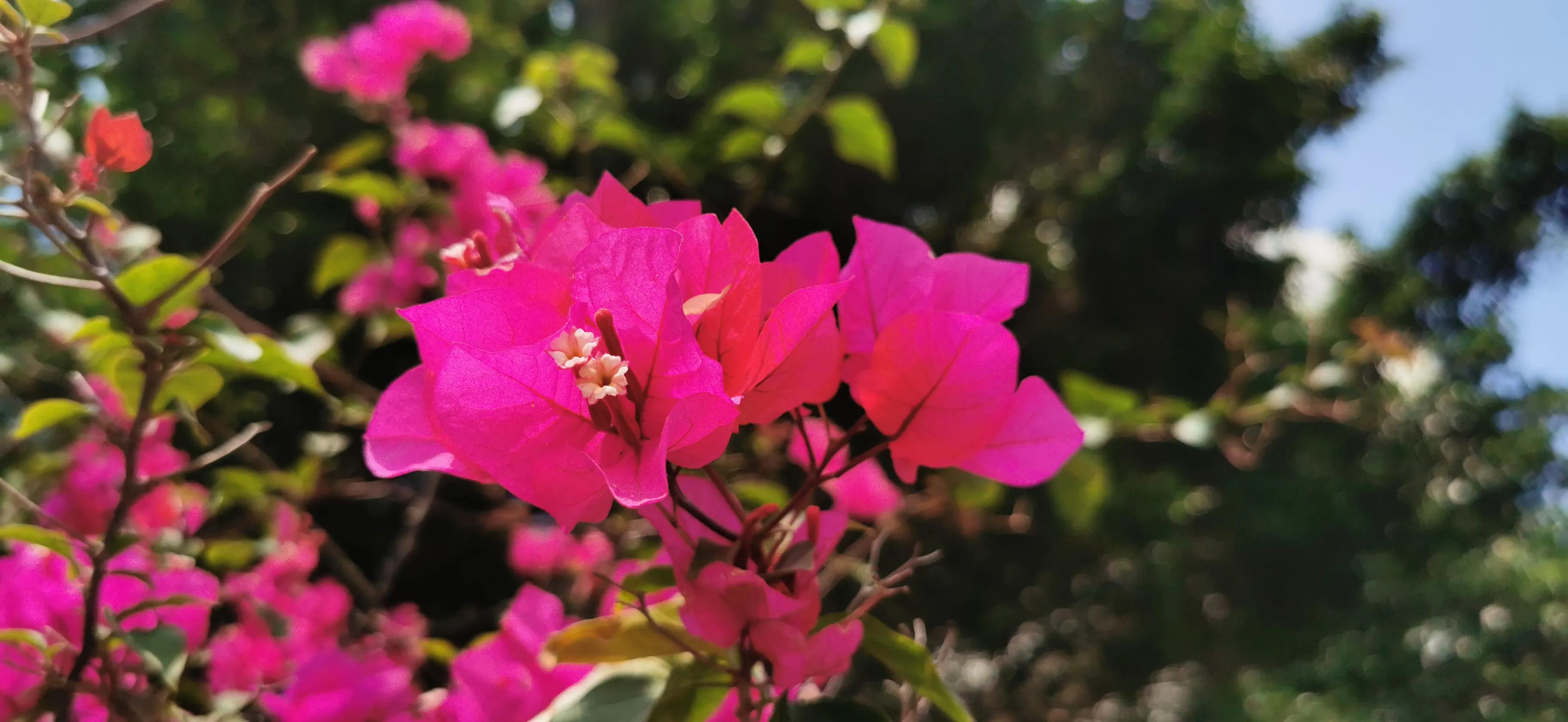 一人一车自驾游装备,两辆车自驾游需要带什么装备