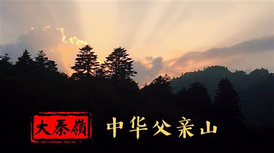 秦风,秦岭远古时代是海洋吗