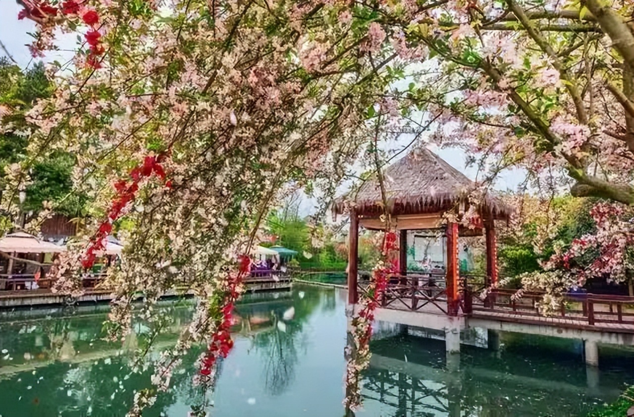 音乐、美食、优惠券~3月18日,一起进入郫都的花花世界吧!