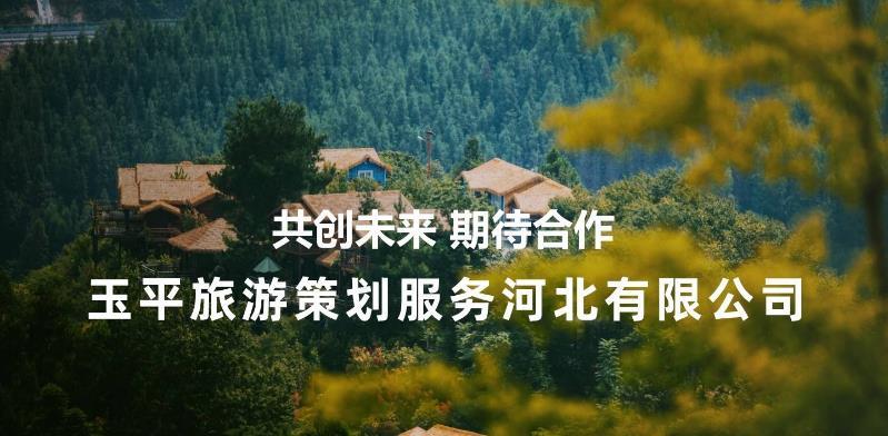 旅游策划是什么样的,旅游项目策划