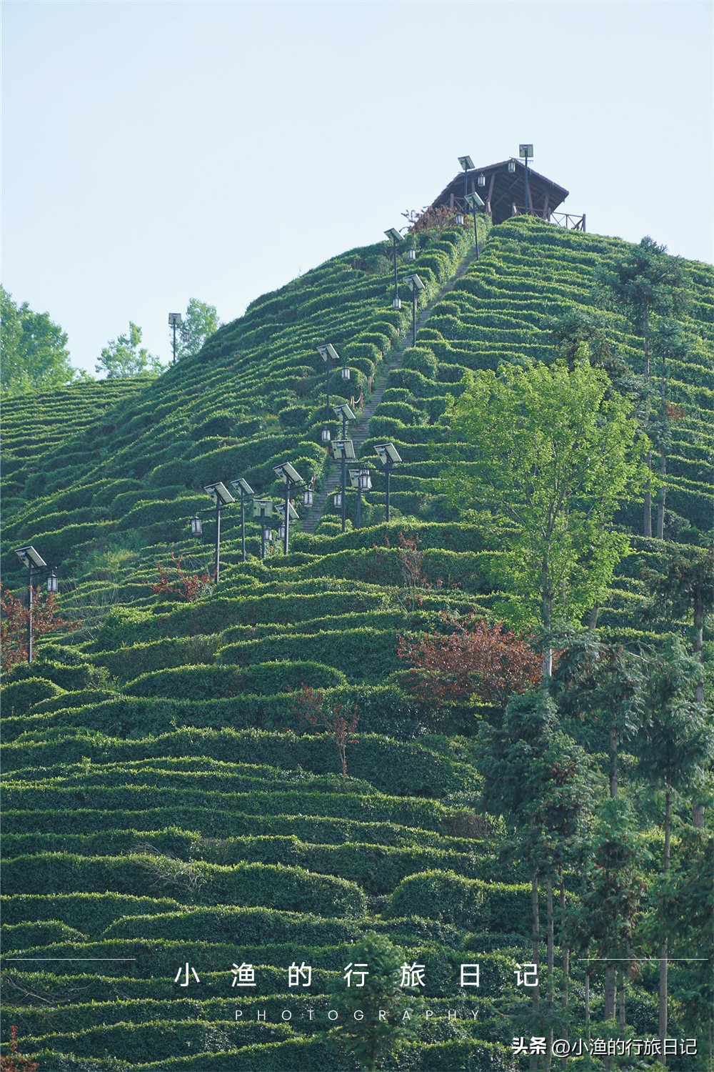 陕南5日古镇游,五一不出贵州省游玩攻略