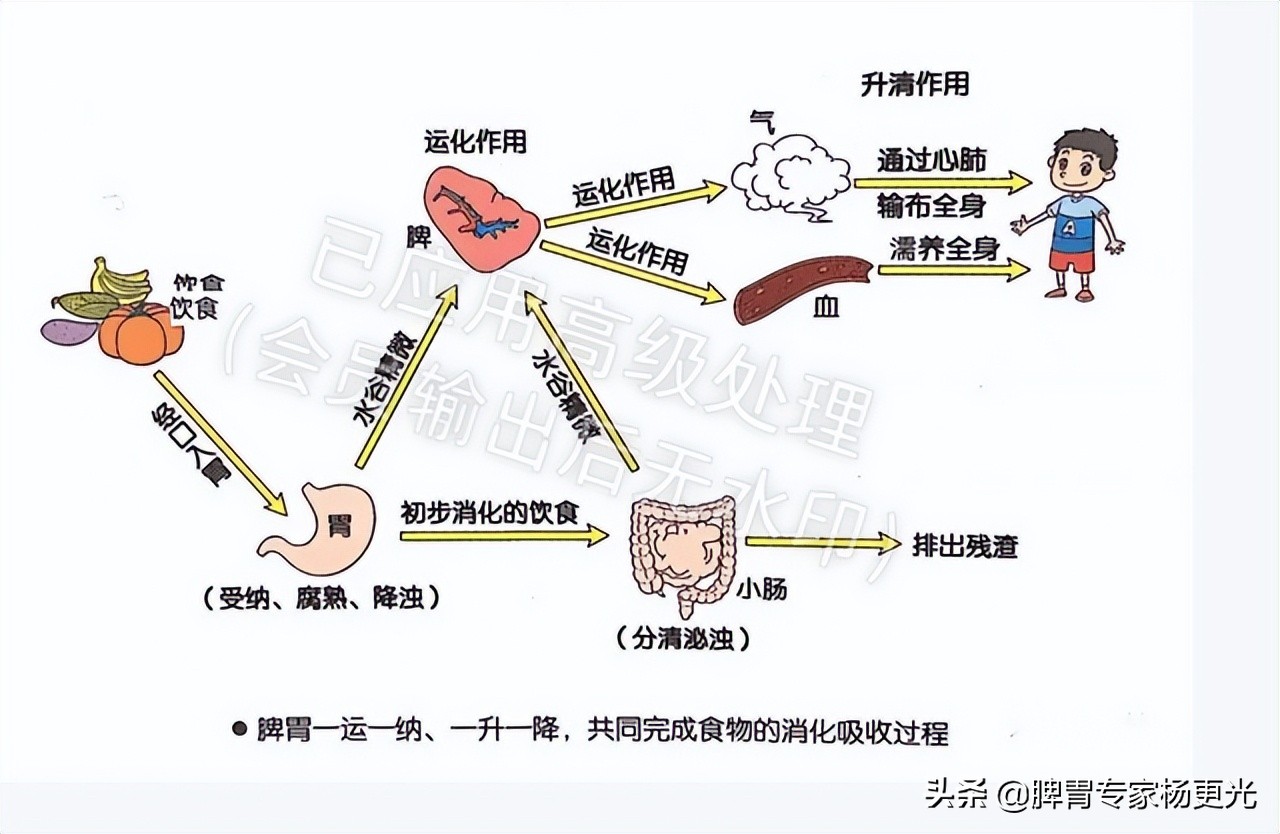 便秘被治好了,自行灌肠导致长期便秘