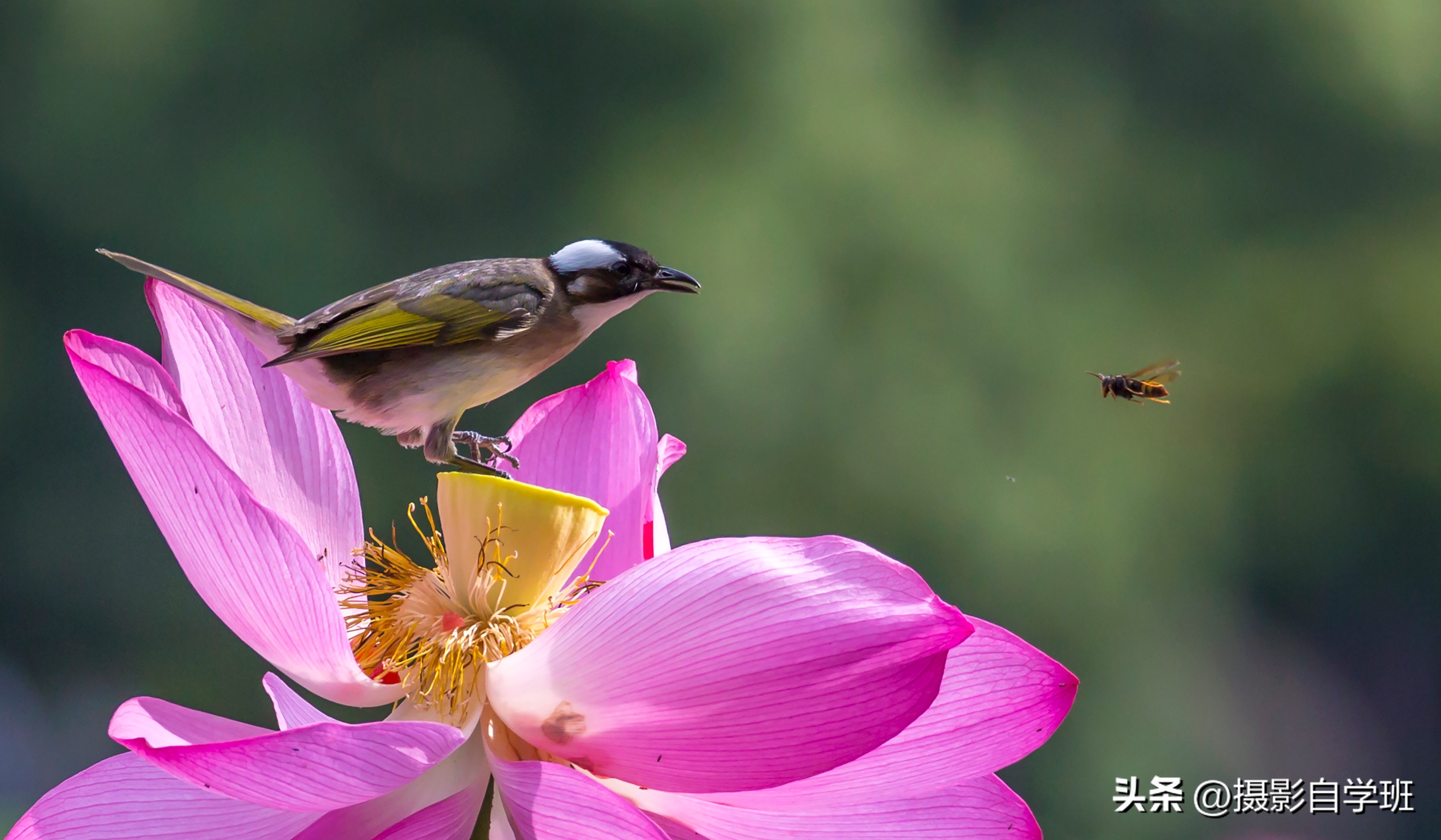 摄友投稿图片,摄友投稿旅行记录图