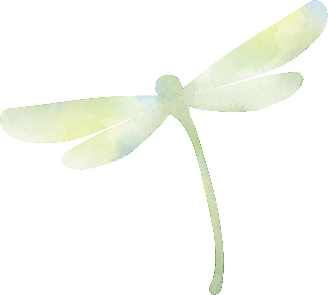 2022阿朵暑期研学季·竹马自然探学|沉浸式自然教育，探寻真假“海上方”