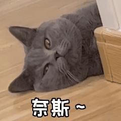 孕期记录32周小孕妇,31周的胎儿日常生活